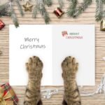 Christmas & New Year’s Gift - Image 3