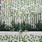 Home Decoration - Image 7