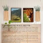 Home Decoration - Image 4