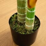 Home Decoration - Image 8