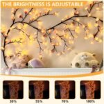 Home Decoration - Image 2