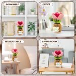Home Decoration - Image 5