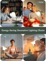 Home Decoration - Image 7