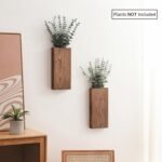 Home Decoration - Image 2