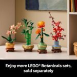 Home Decoration - Image 7