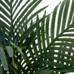 Home Decoration - Image 7