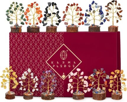 Christmas & New Year’s Gift