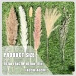 Home Decoration - Image 4