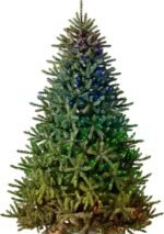 Christmas & New Year Decor.