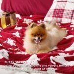 Christmas & New Year Decor. - Image 5