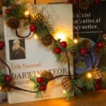 Christmas & New Year Decor. - Image 5